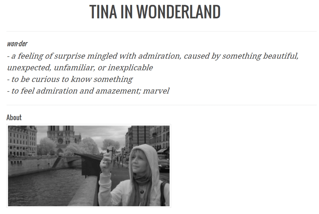 2013 Cultural Mentor Tina Shakour's blog, Tina in Wonderland
